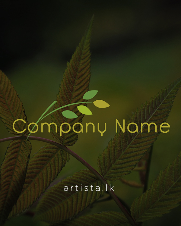portfolio-image